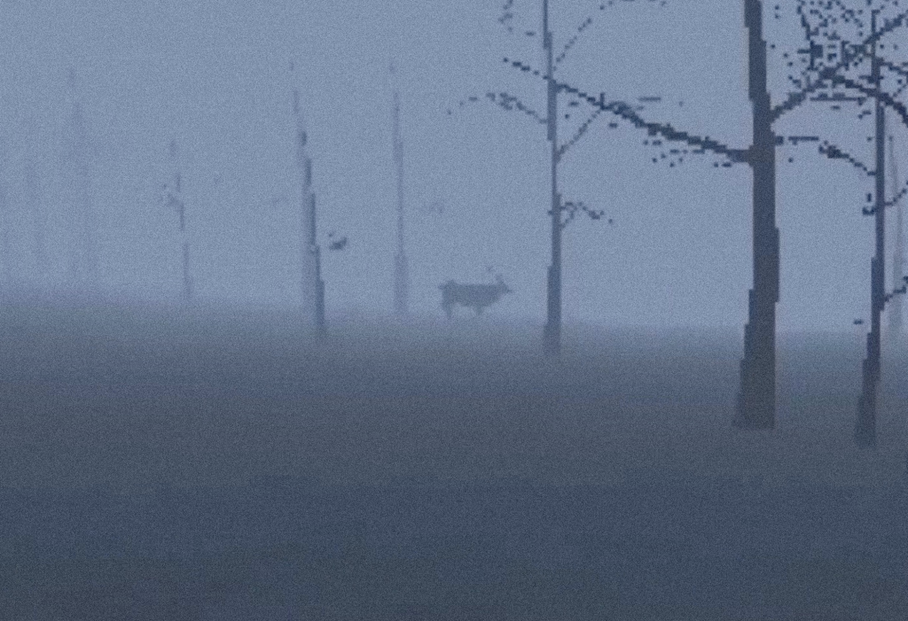 to undo, to crumble, to vanish. Laureta Hajrullahu