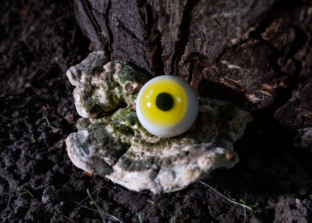 A Dream Within a Dream