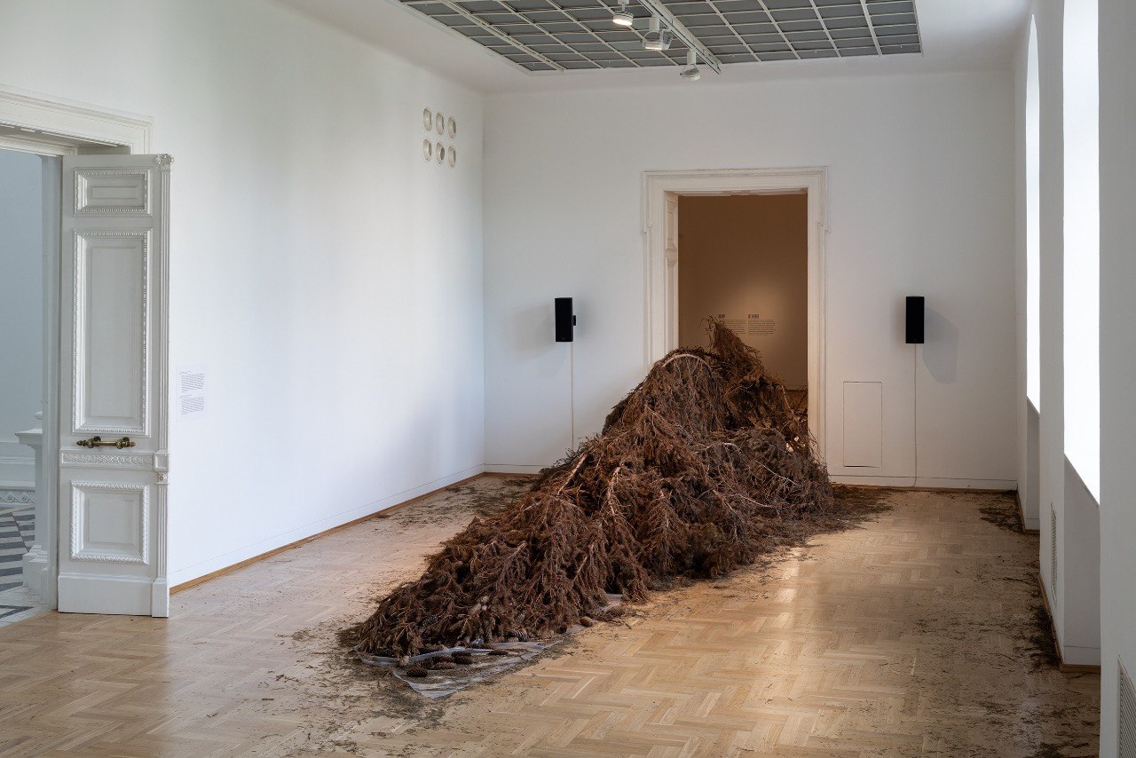 Exhibition view