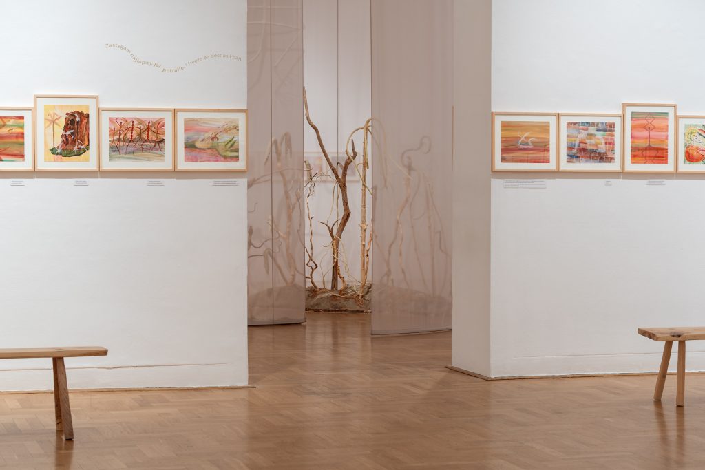Exhibition view