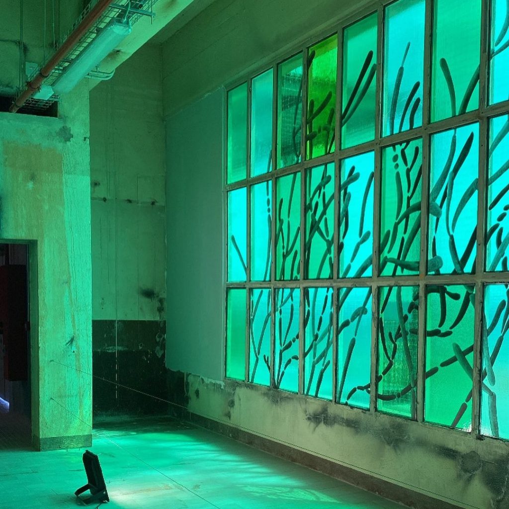 Notes on 15. Manifesta Biennale