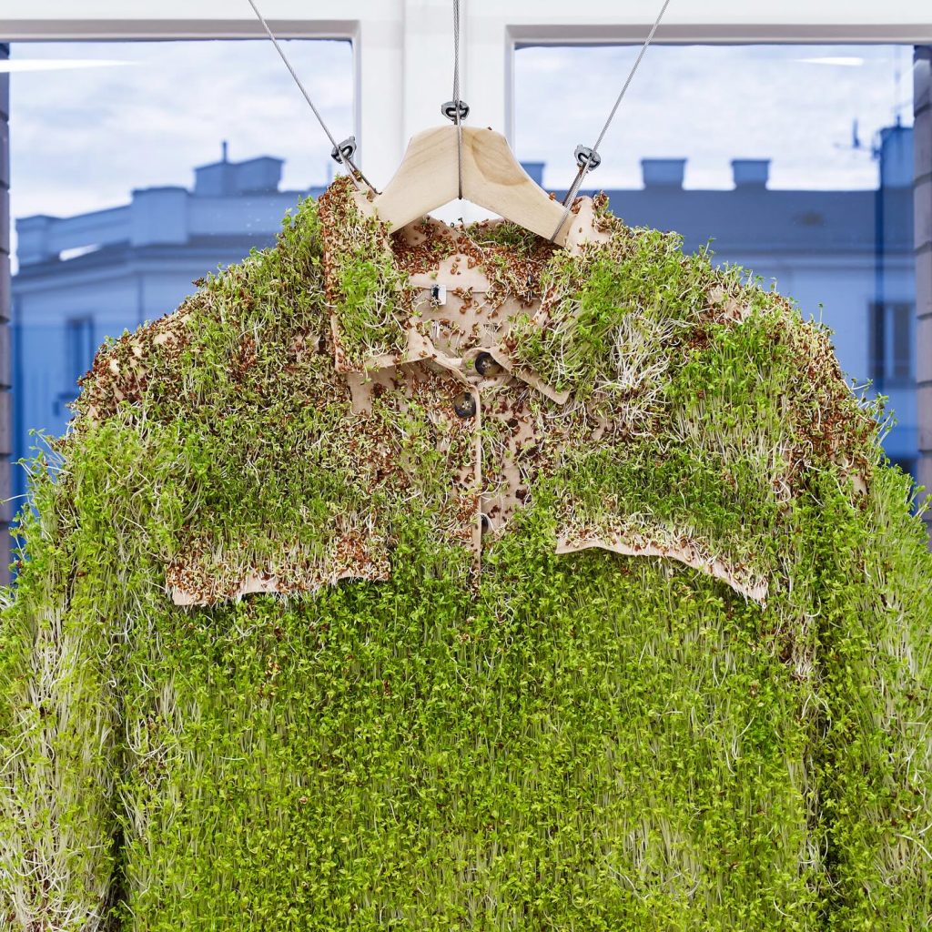 Herbalists. Teresa Murak and Her Daughters