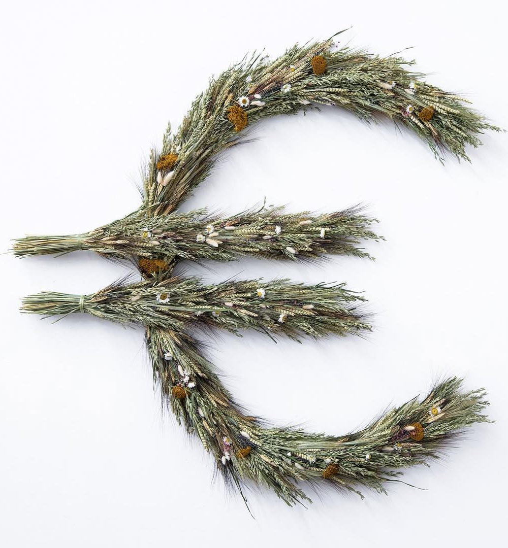 Hay — Anna Raczyńska
